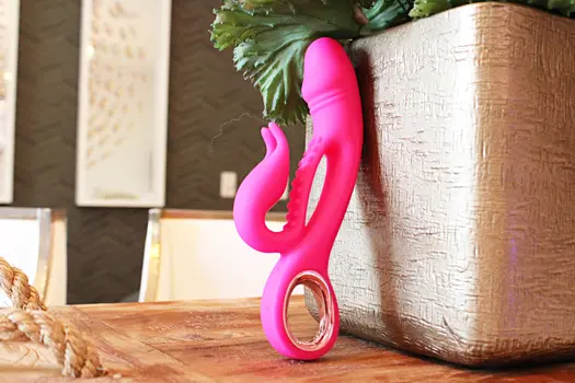 Cinxia - The Pink Rabbit Vibrator
