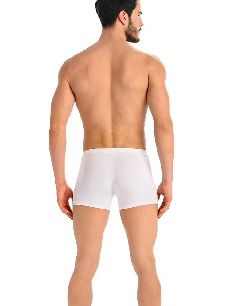 Boxers model 182978 Teyli