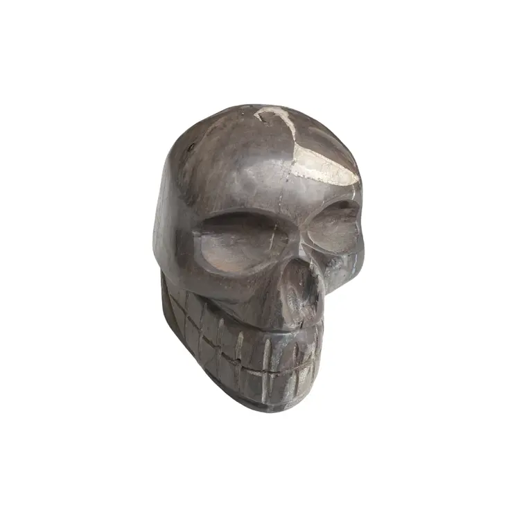 Mysterious Tribal Bali Fossil Wood Skull Carving