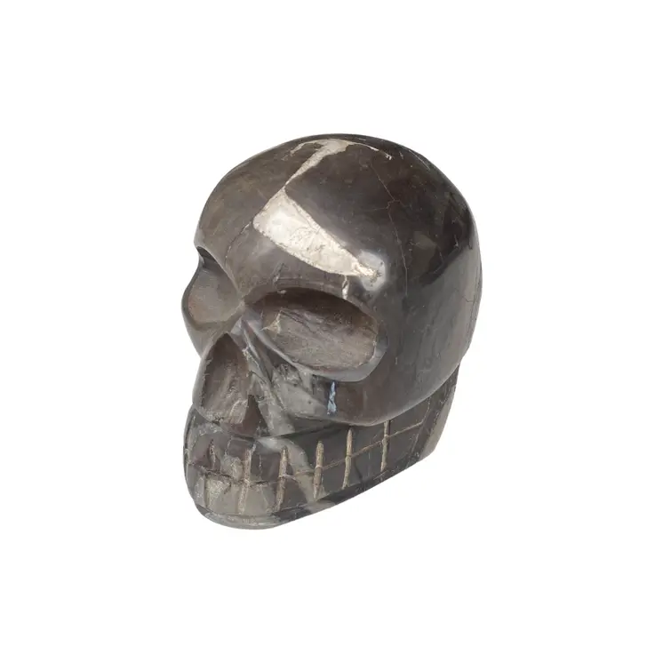 Mysterious Tribal Bali Fossil Wood Skull Carving