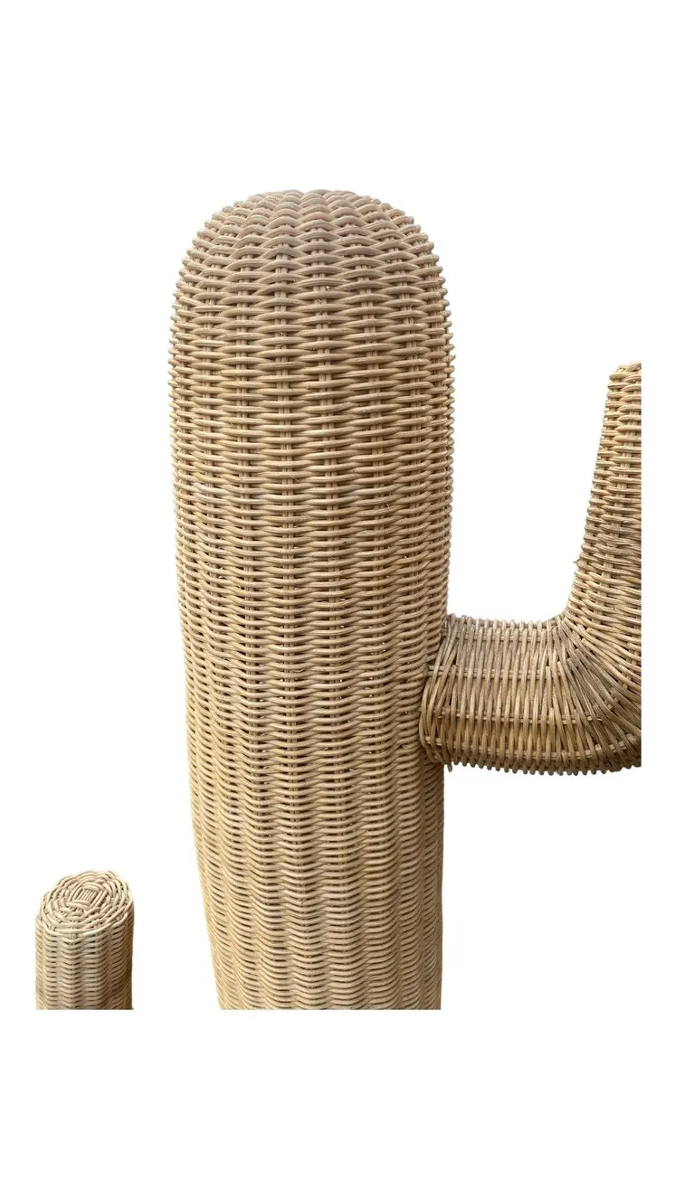 Rattan Cacty Home Decoration