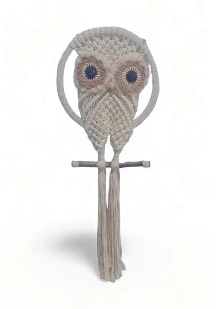 Cute Owl Macrame