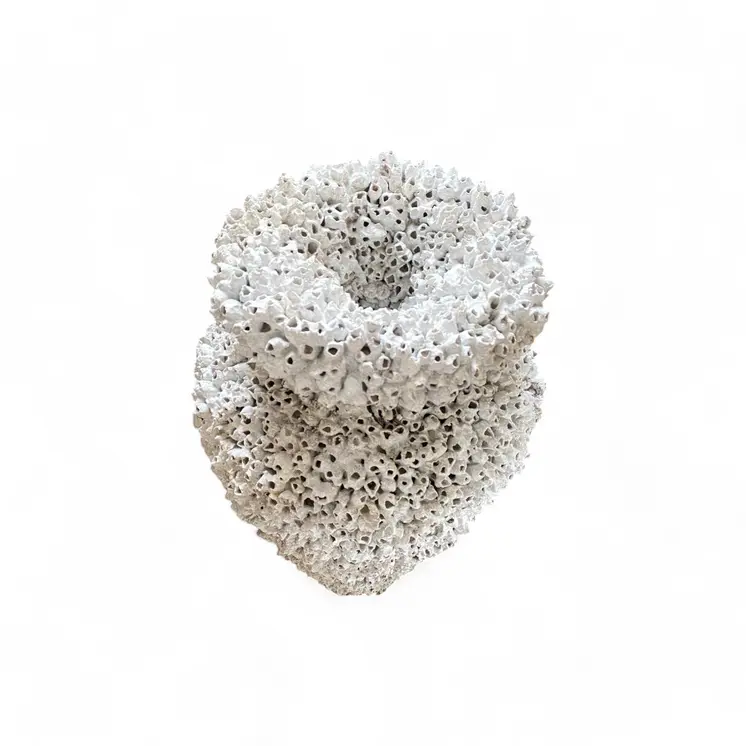 Coastal Charm Pottery