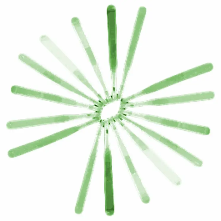 5 Inch Glow Stick Green
