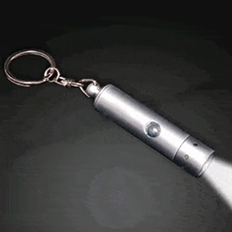 Flashlight Key Chain