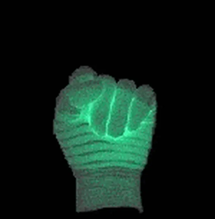Glowing Gloves One Pair Large
