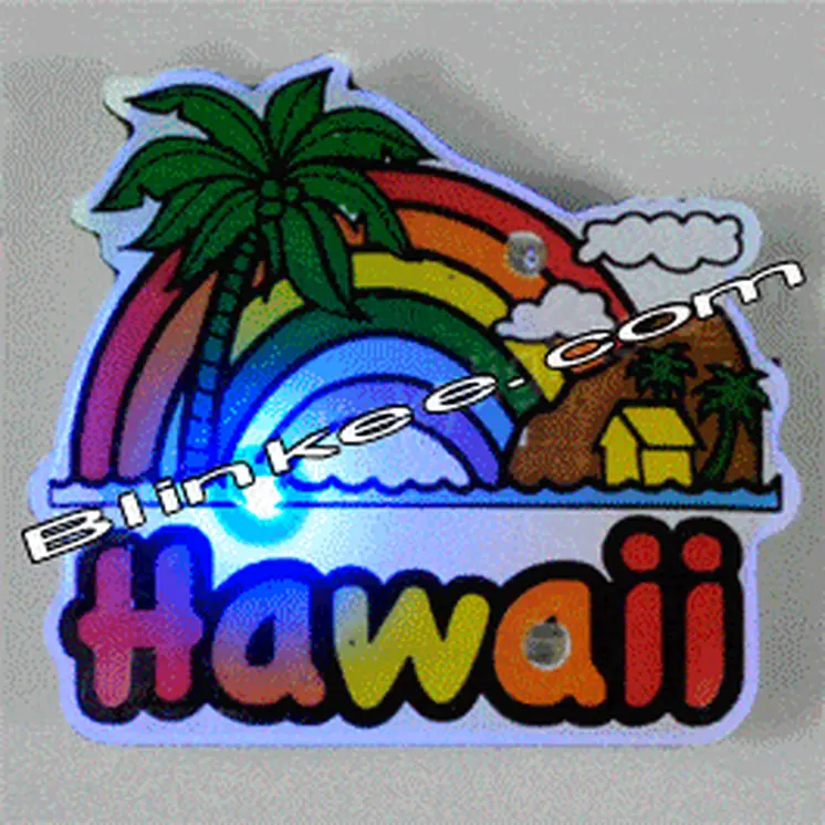 Hawaii Flashing Body Light Lapel Pins