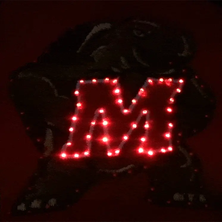 Maryland Terrapins Flashing Fiber Optic Cap