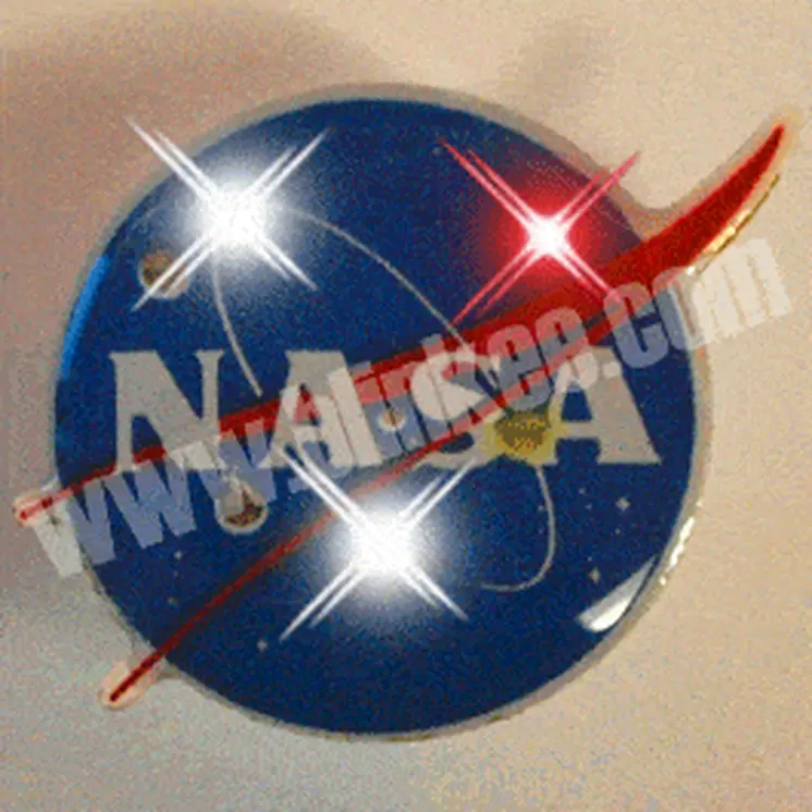 NASA Logo Flashing Body Light Lapel Pins