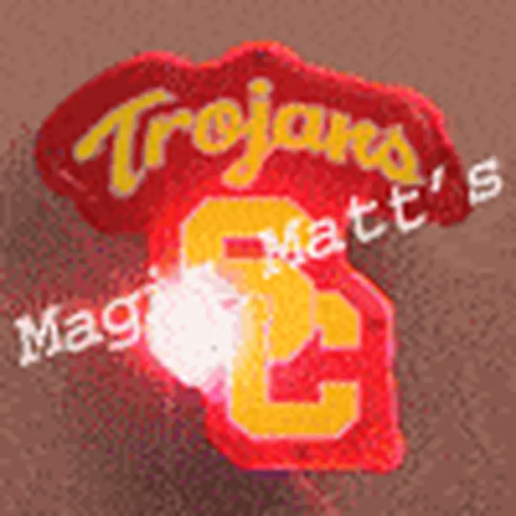 Southern California University Officially Licensed Flashing Lapel Pin