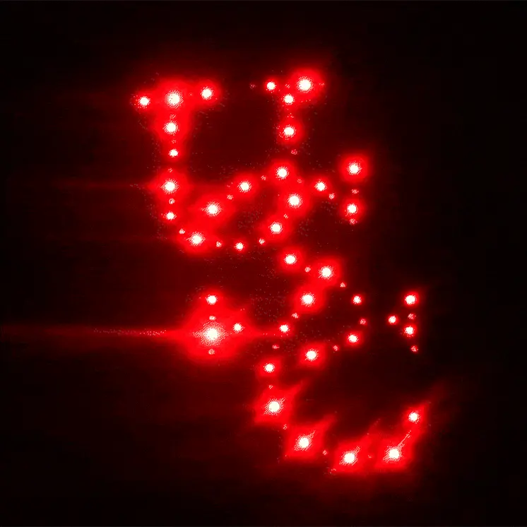 South Carolina Gamecocks Flashing Fiber Optic Cap
