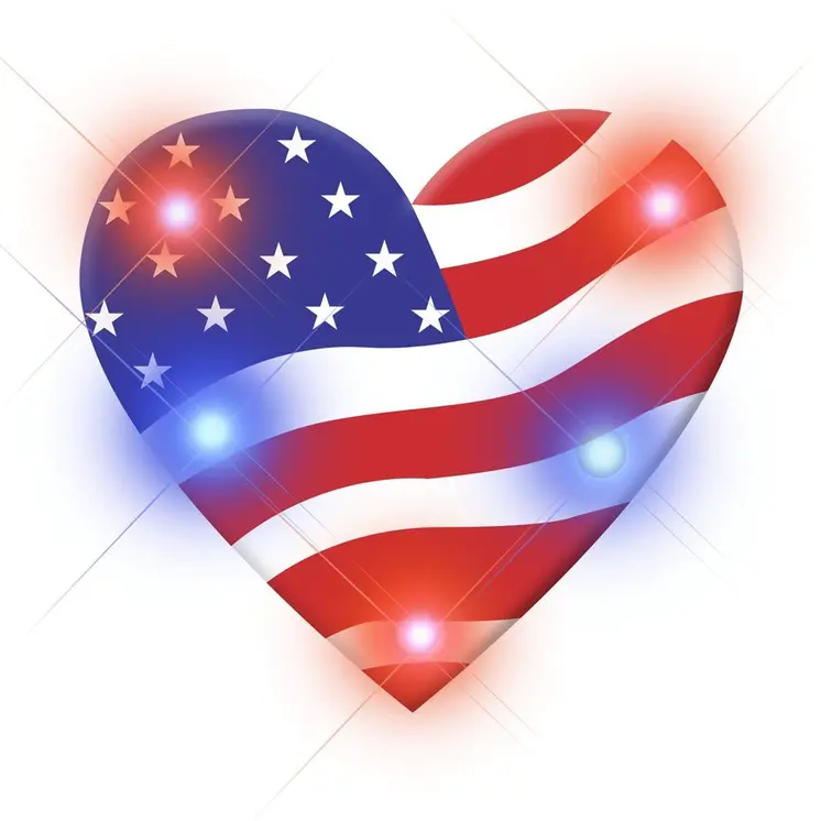 Assorted USA Flag Patriotic Body Light Lapel Pins Pack of 25