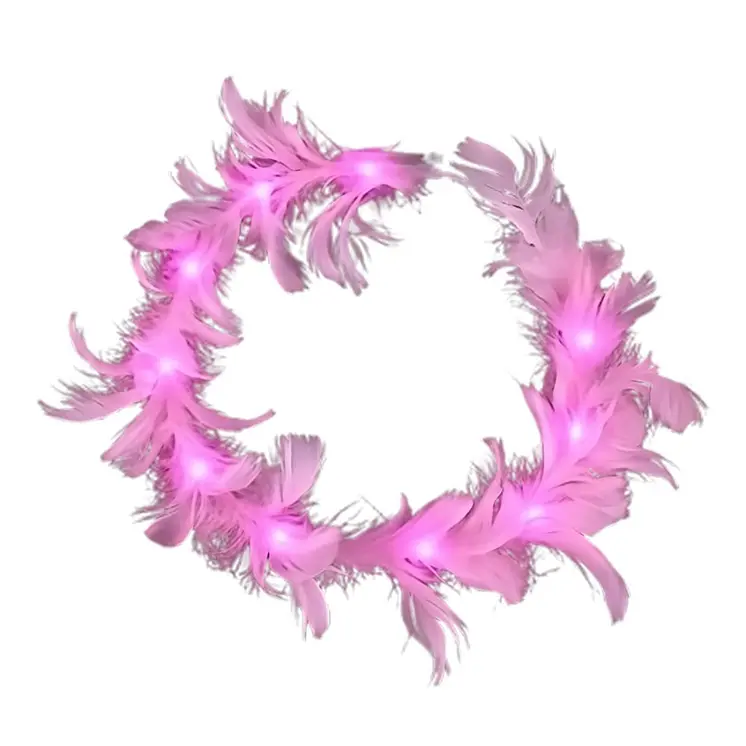 Light Up Feather Crowns Assortment Bundle of Pink and Purple
