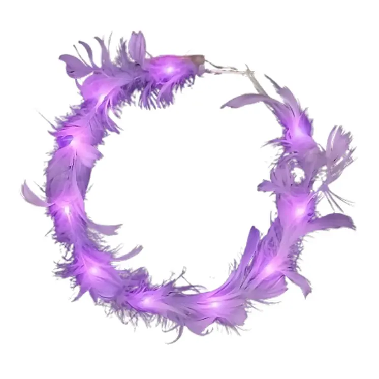 Light Up Feather Crowns Assortment Bundle of Pink and Purple