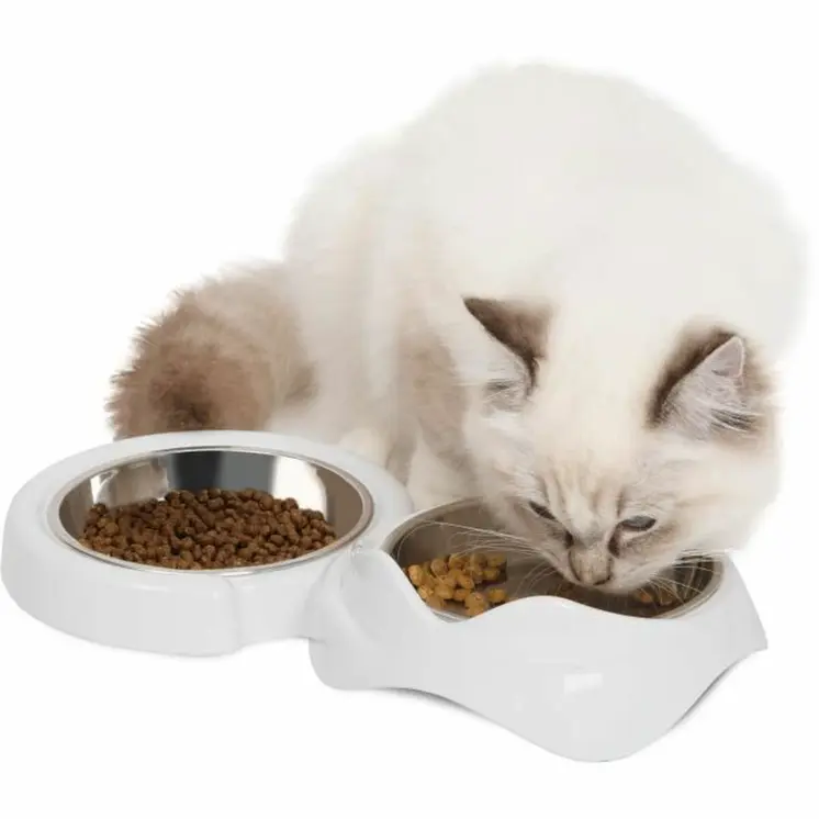 Dog Feeder Catit