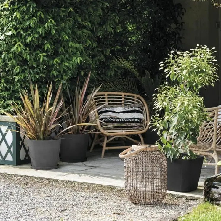Plant pot Deroma