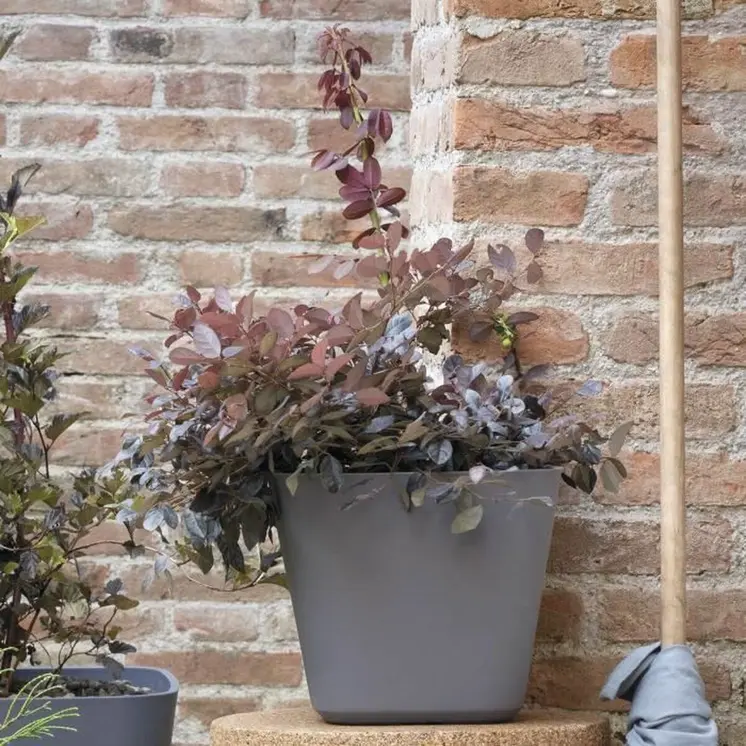Plant pot Deroma