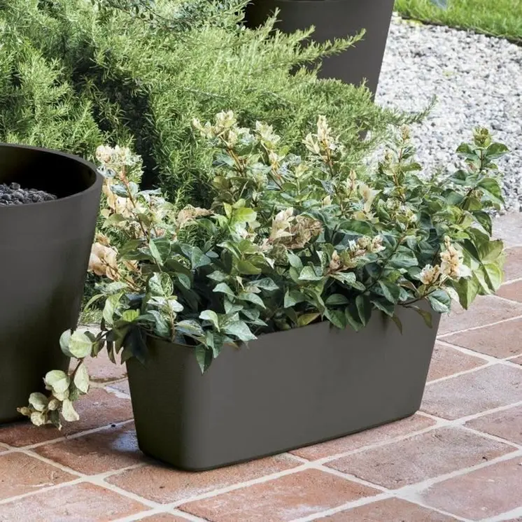 Plant pot Deroma