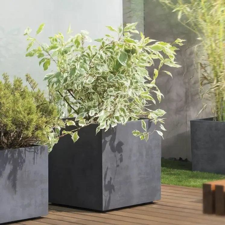 Plant pot Deroma