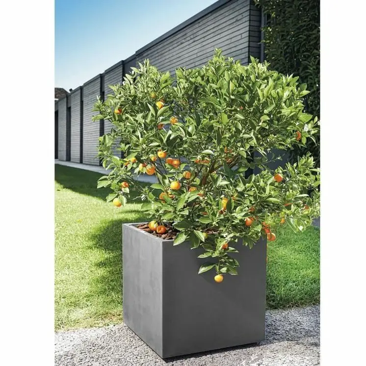 Plant pot Deroma