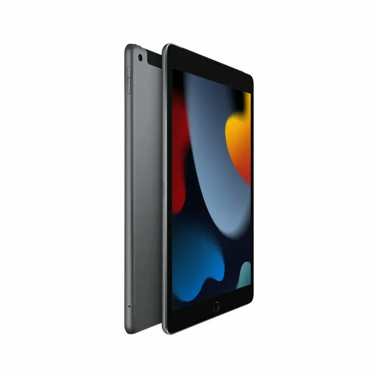 Tablet Apple MK4E3TY/A 10,2" Hexa Core 3 GB RAM 64 GB Grey