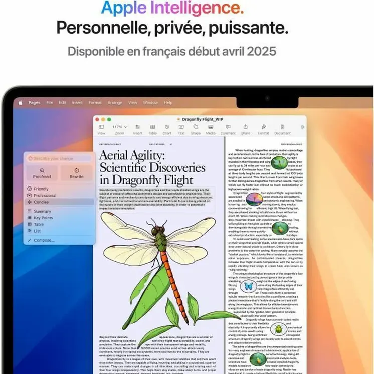 Laptop Apple MacBook Air M4 SSD 13,6" M4 16 GB RAM