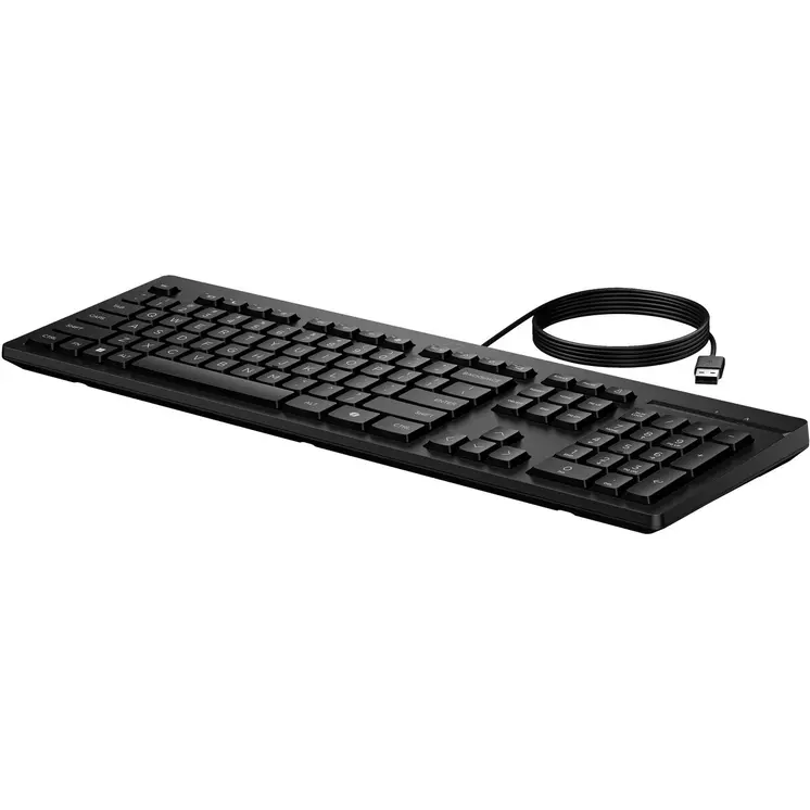 Keyboard and Mouse HP AY2Y7AA#ABE Black