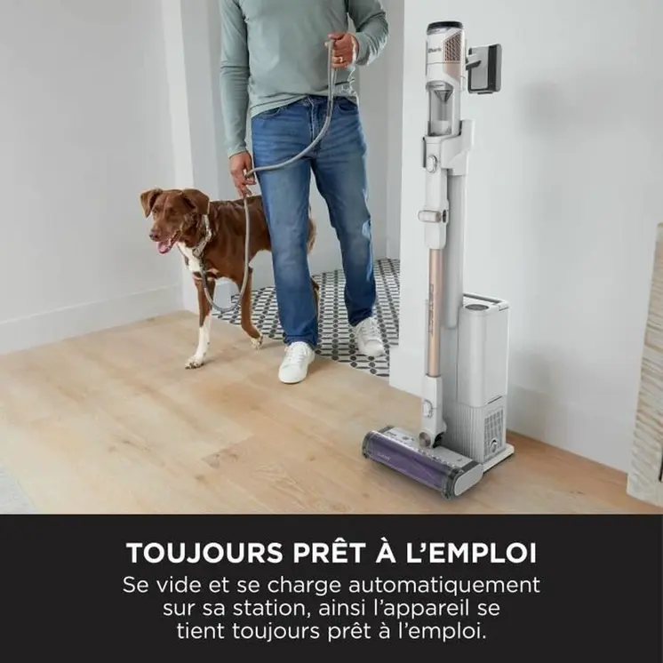 Stick Vacuum Cleaner Shark
