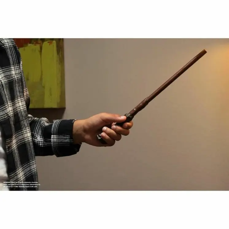 Magic Game Spin Master HARRY POTTER