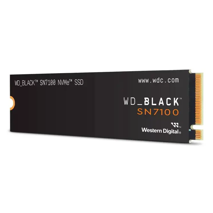 Hard Drive Western Digital WDS100T4X0E