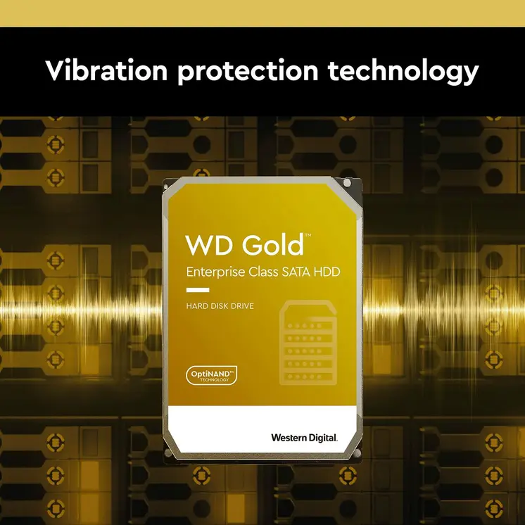 Hard Drive Western Digital WD241KRYZ 3,5" 24 TB
