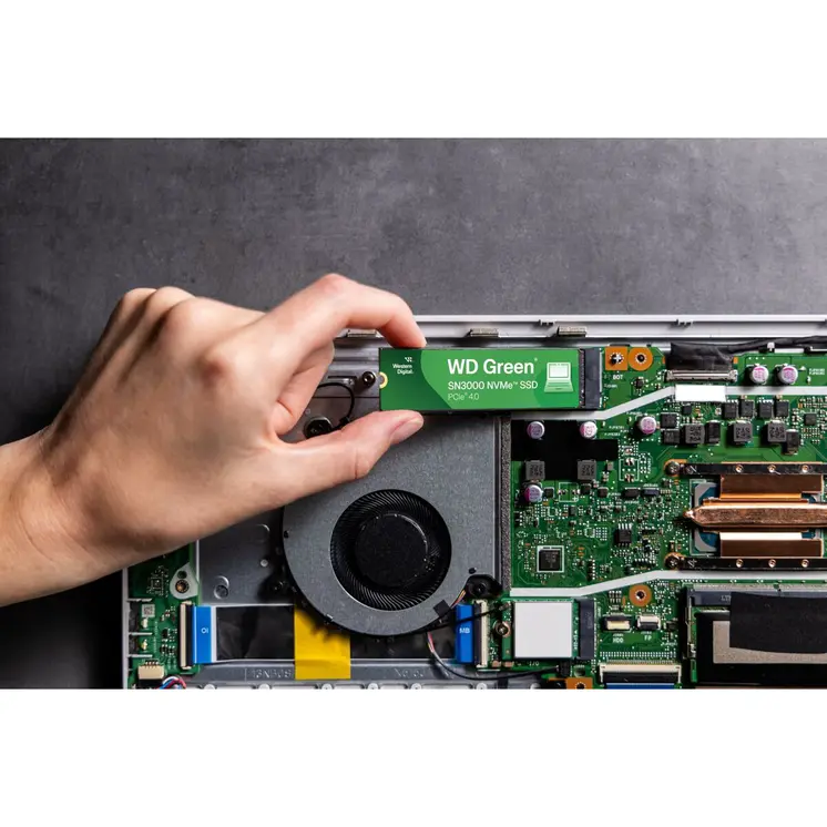 Hard Drive Western Digital WDS200T4G0E 2 TB SSD