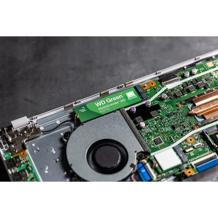 Hard Drive Western Digital WDS100T4G0E 1 TB SSD