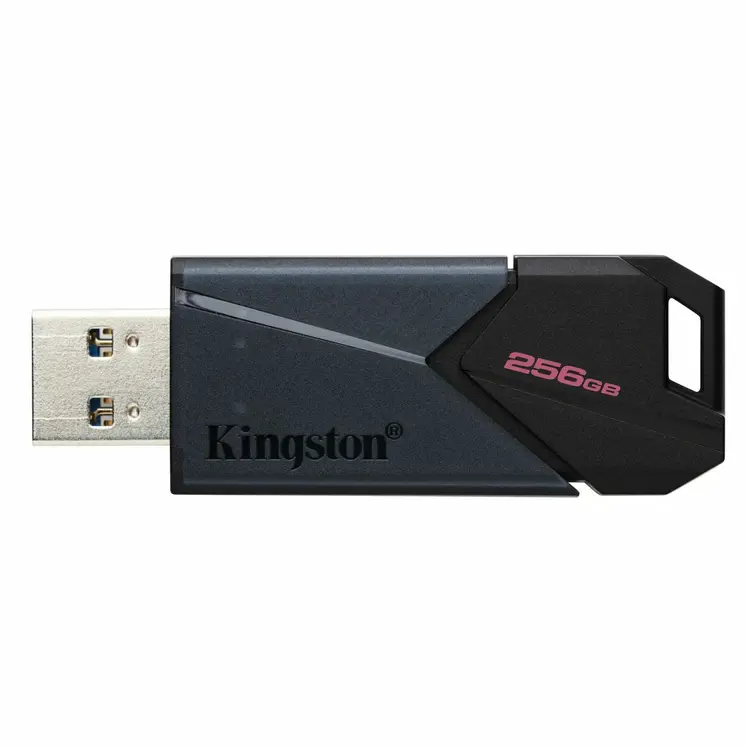 USB stick Kingston DTXON/256GB Black 256 GB