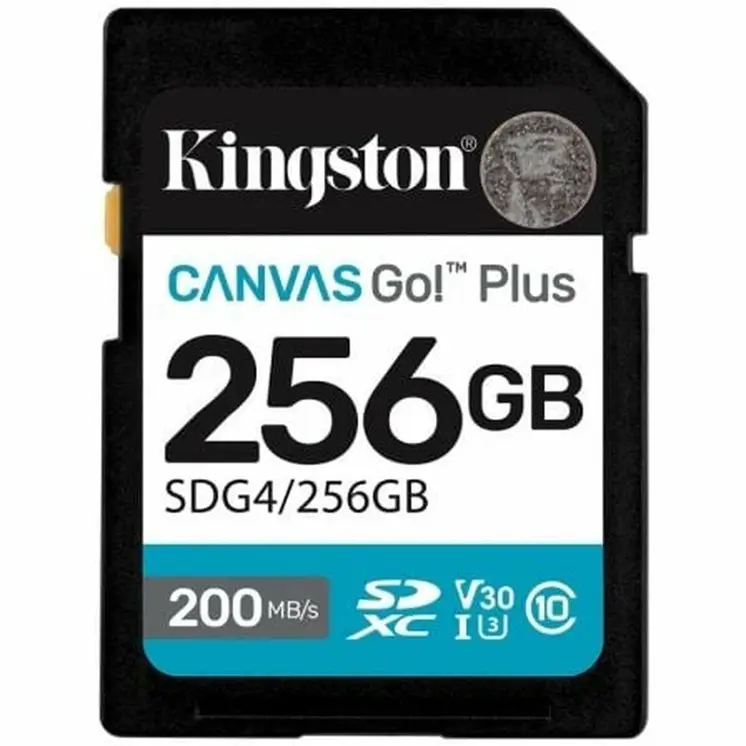 Micro SD Memory Card with Adaptor Kingston SDG4/256GB 256 GB