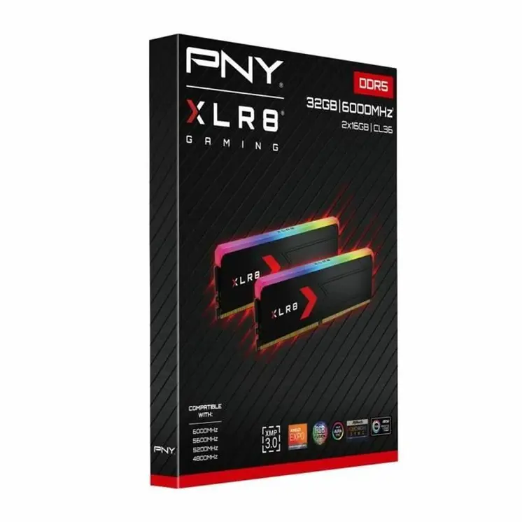 RAM Memory PNY