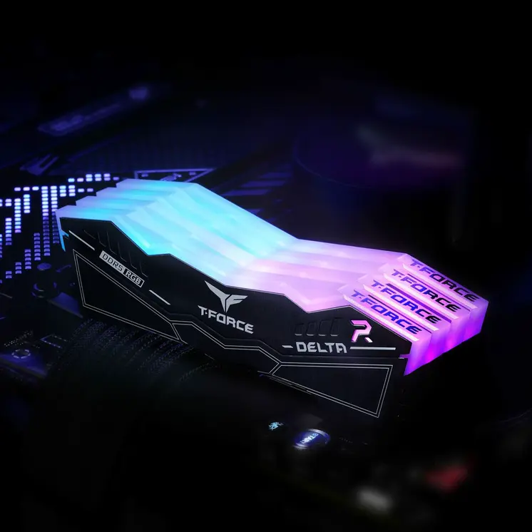 RAM Memory Team Group FF3D564G6000HC38ADC01 64 GB DDR5 SDRAM DDR5 6000 MHz