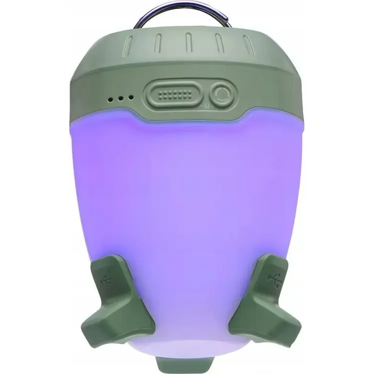LED Torch Keyring Black Diamond BD620696