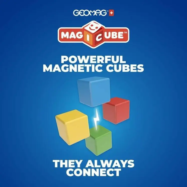 Educational Game Geomag