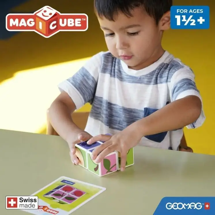 Educational Game Geomag
