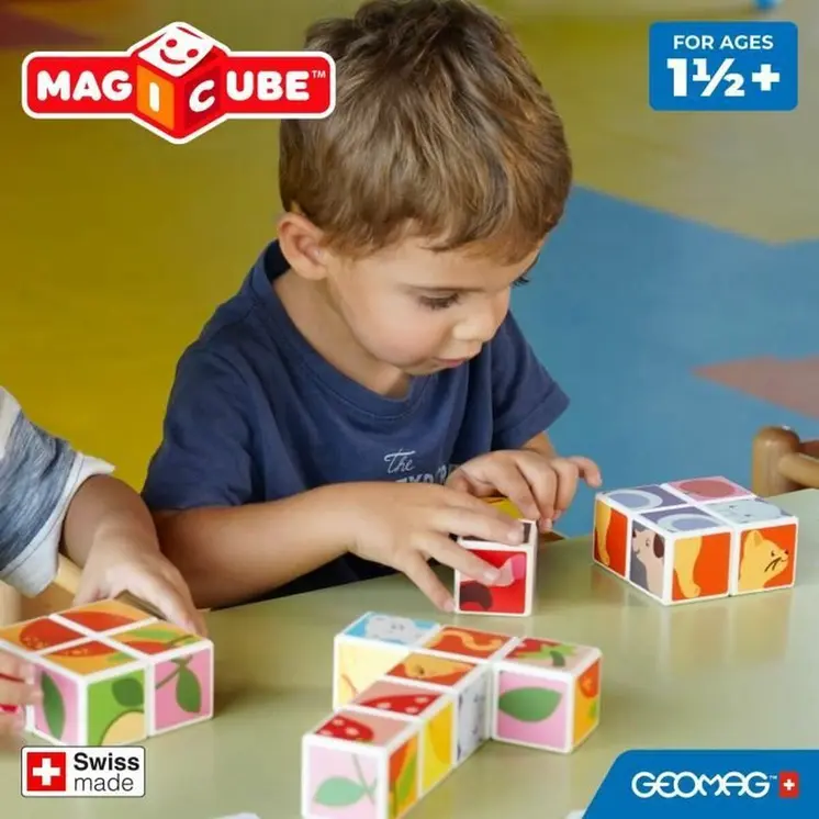 Construction set Geomag