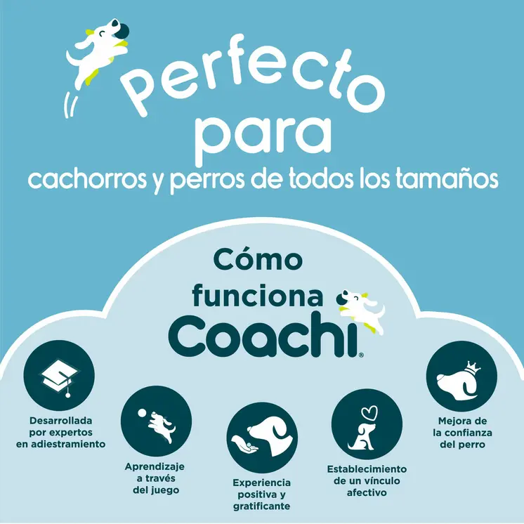 Dog Lead Coachi Blue Training