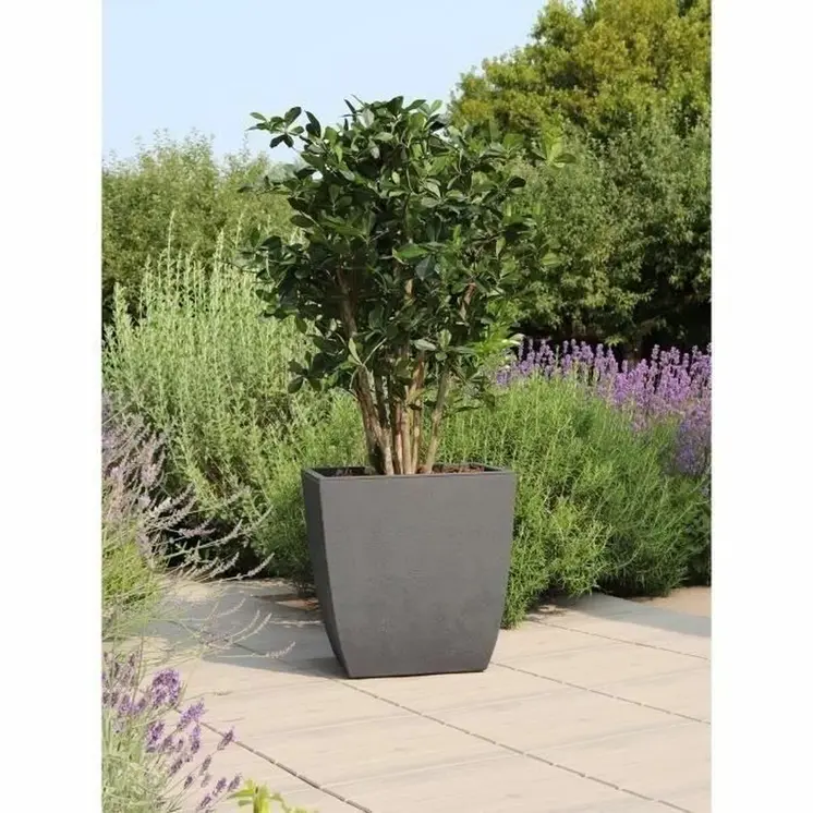 Plant pot EDA