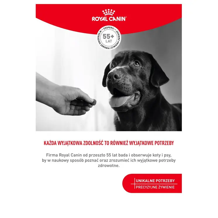 Dog Snack Royal Canin Supplements Dog Digestion Adult 160 g