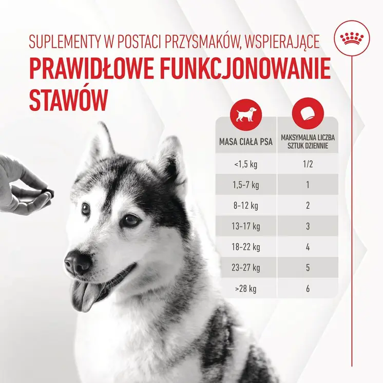 Dog Snack Royal Canin Supplements Dog Joint & Ageing Adult 240 g