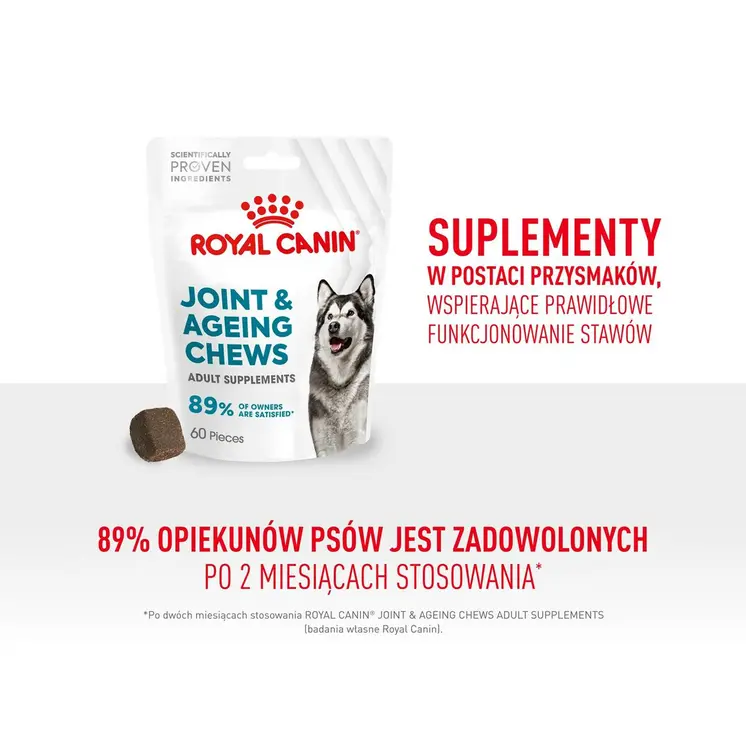 Dog Snack Royal Canin Supplements Dog Joint & Ageing Adult 240 g