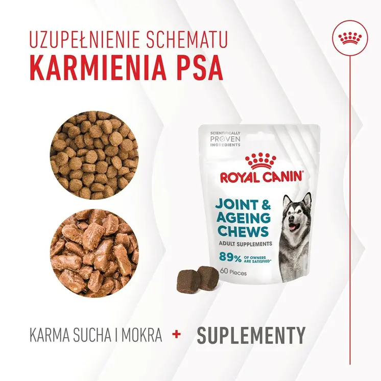 Dog Snack Royal Canin Supplements Dog Joint & Ageing Adult 240 g