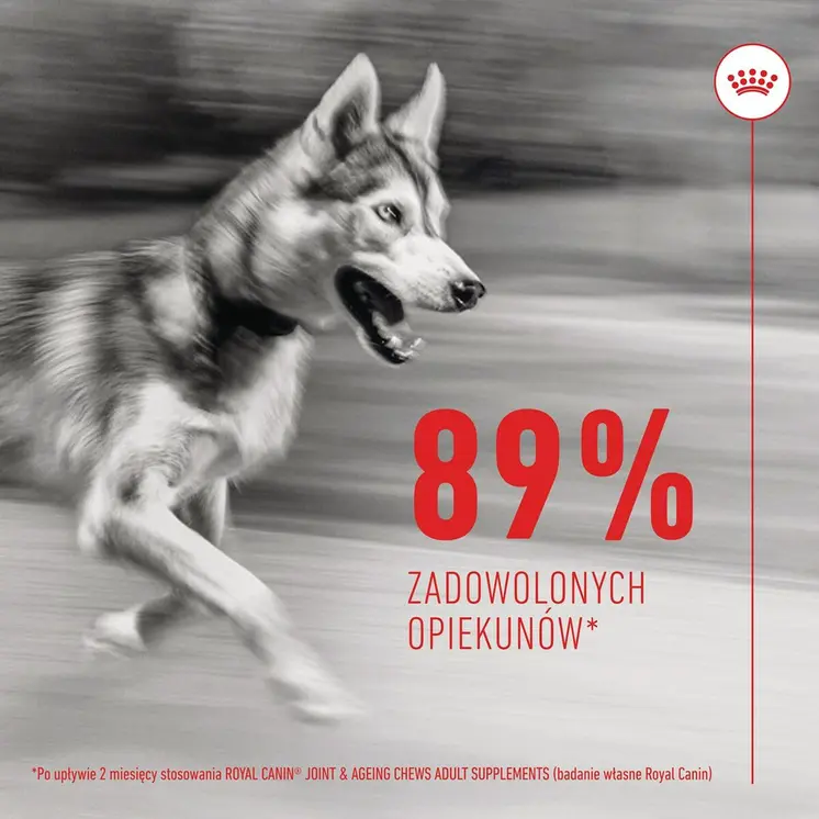 Dog Snack Royal Canin Supplements Dog Joint & Ageing Adult 240 g