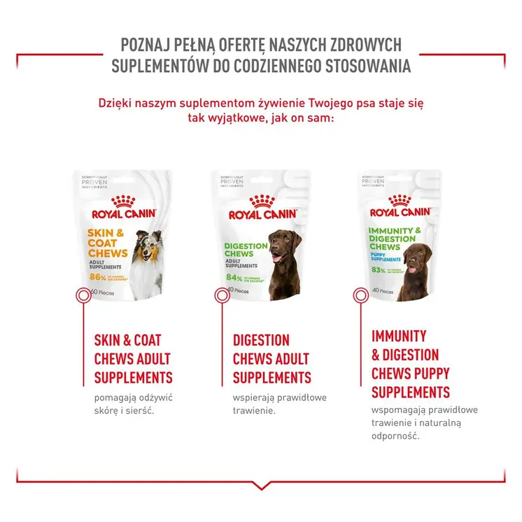 Dog Snack Royal Canin Supplements Dog Joint & Ageing Adult 240 g