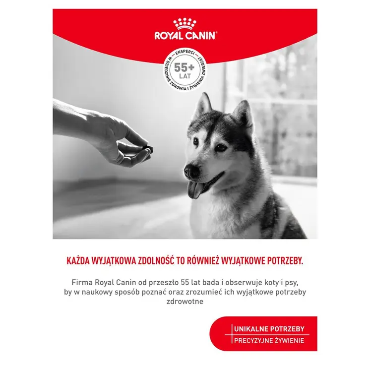Dog Snack Royal Canin Supplements Dog Joint & Ageing Adult 240 g